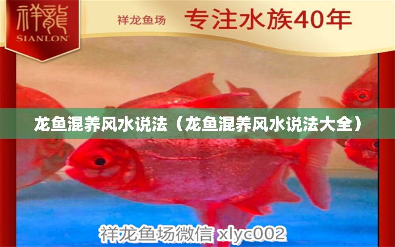 龍魚混養(yǎng)風水說法（龍魚混養(yǎng)風水說法大全） 魚缸風水