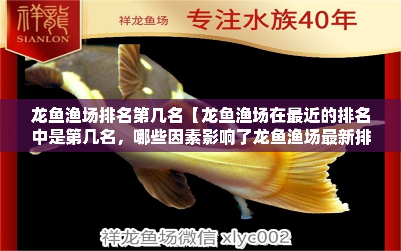 龍魚漁場排名第幾名【龍魚漁場在最近的排名中是第幾名，哪些因素影響了龍魚漁場最新排名】