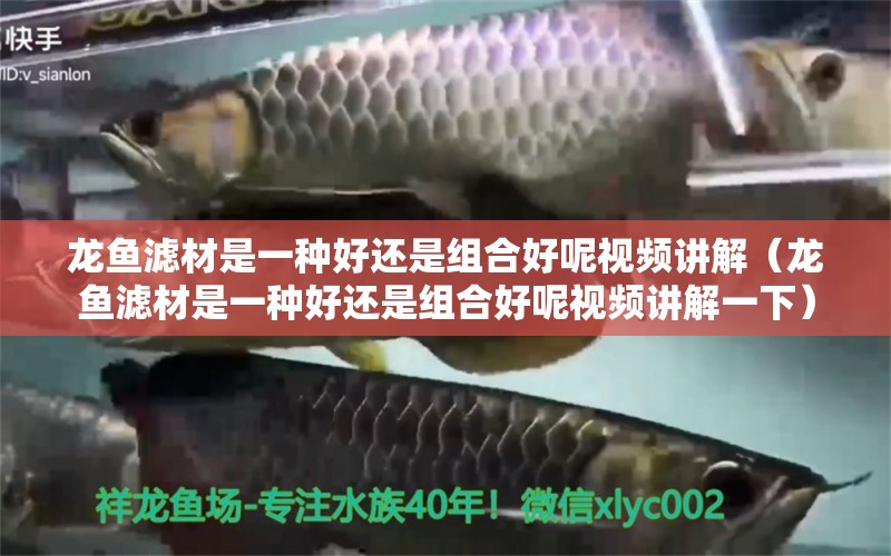 龍魚濾材是一種好還是組合好呢視頻講解（龍魚濾材是一種好還是組合好呢視頻講解一下） 廣州龍魚批發(fā)市場