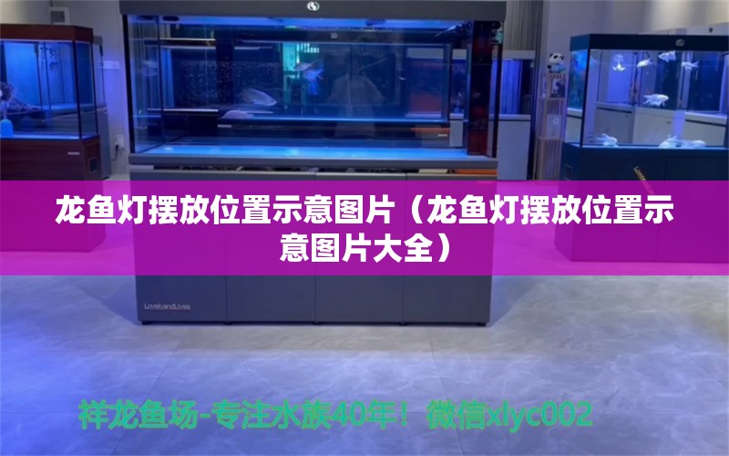 龍魚燈擺放位置示意圖片（龍魚燈擺放位置示意圖片大全）