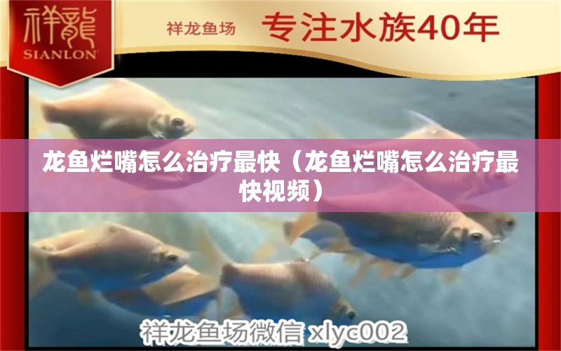 龍魚爛嘴怎么治療最快（龍魚爛嘴怎么治療最快視頻） 廣州龍魚批發(fā)市場(chǎng)