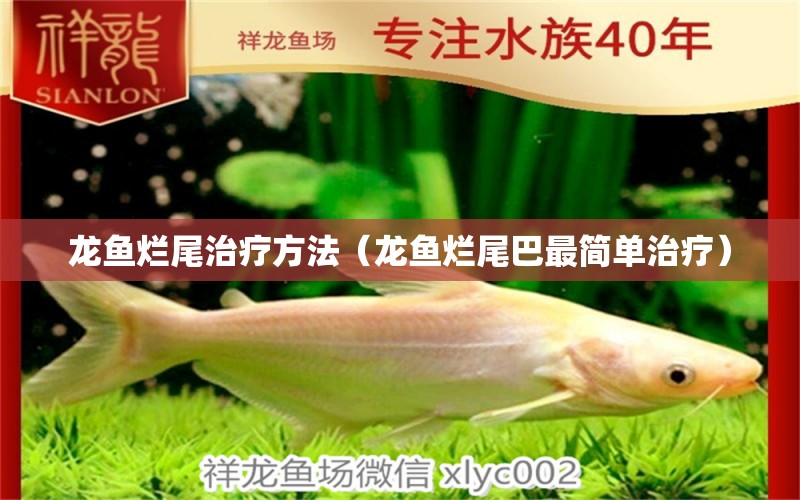 龍魚(yú)爛尾治療方法（龍魚(yú)爛尾巴最簡(jiǎn)單治療） 廣州龍魚(yú)批發(fā)市場(chǎng)