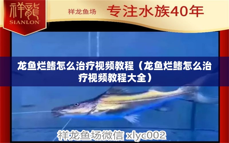 龍魚(yú)爛鰭怎么治療視頻教程（龍魚(yú)爛鰭怎么治療視頻教程大全）