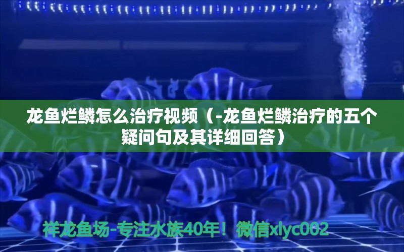 龍魚爛鱗怎么治療視頻（-龍魚爛鱗治療的五個疑問句及其詳細回答）