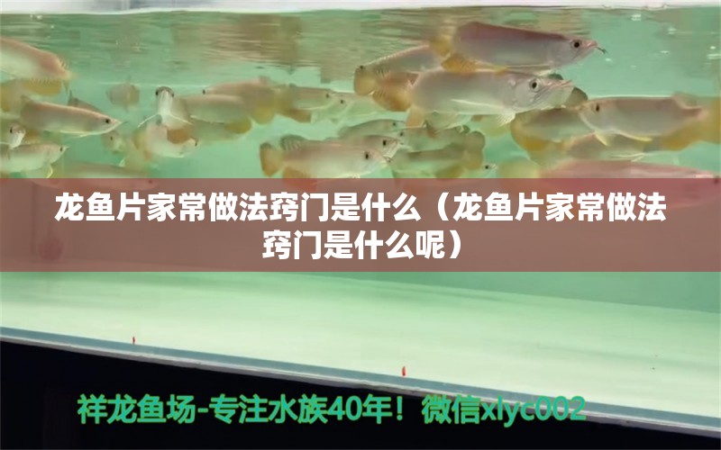 龍魚片家常做法竅門是什么（龍魚片家常做法竅門是什么呢）