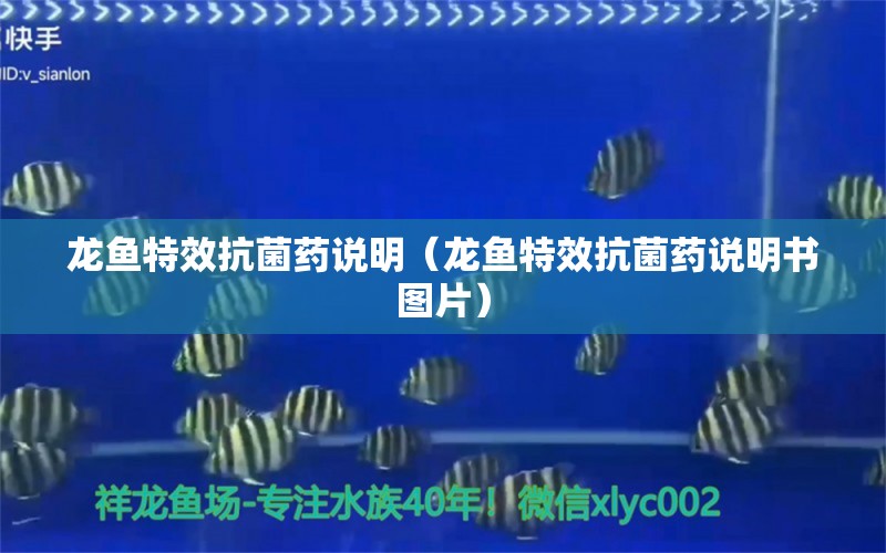 龍魚特效抗菌藥說明（龍魚特效抗菌藥說明書圖片）