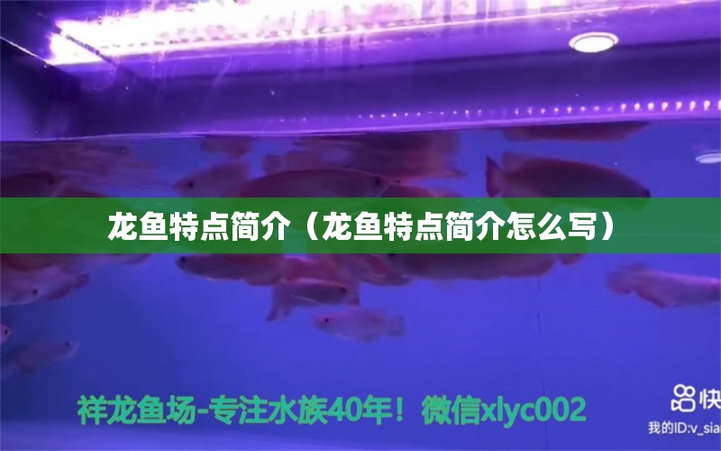 龍魚特點(diǎn)簡(jiǎn)介（龍魚特點(diǎn)簡(jiǎn)介怎么寫）