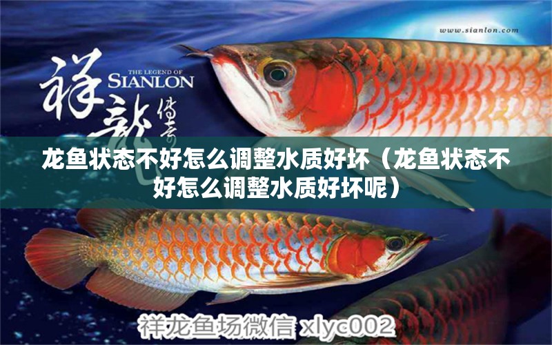 龍魚(yú)狀態(tài)不好怎么調(diào)整水質(zhì)好壞（龍魚(yú)狀態(tài)不好怎么調(diào)整水質(zhì)好壞呢） 龍魚(yú)疾病與治療