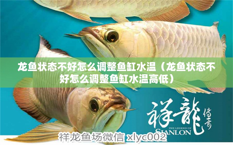 龍魚狀態(tài)不好怎么調(diào)整魚缸水溫（龍魚狀態(tài)不好怎么調(diào)整魚缸水溫高低） 龍魚疾病與治療