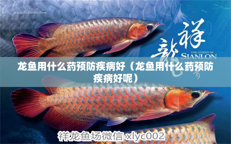 龍魚用什么藥預(yù)防疾病好（龍魚用什么藥預(yù)防疾病好呢） 廣州龍魚批發(fā)市場