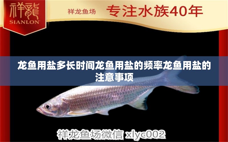 龍魚用鹽多長時(shí)間龍魚用鹽的頻率龍魚用鹽的注意事項(xiàng) 月光鴨嘴魚