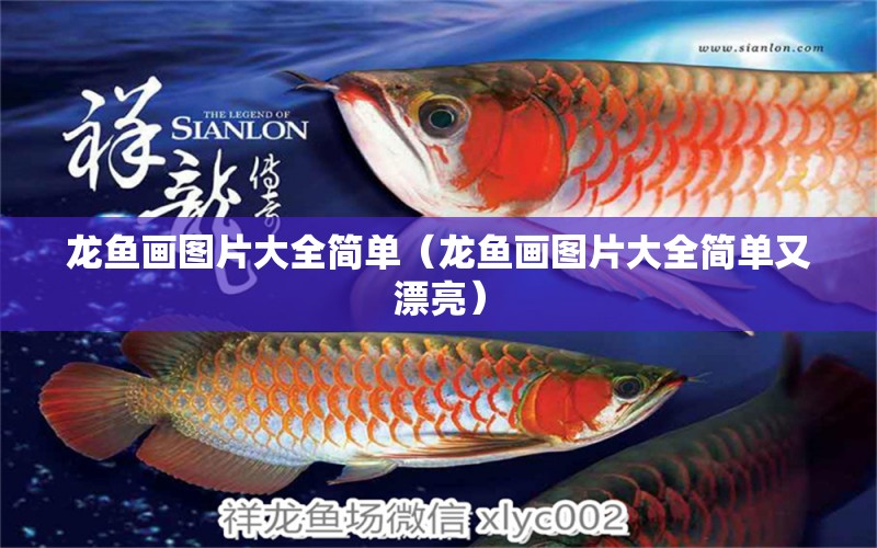 龍魚畫圖片大全簡(jiǎn)單（龍魚畫圖片大全簡(jiǎn)單又漂亮）