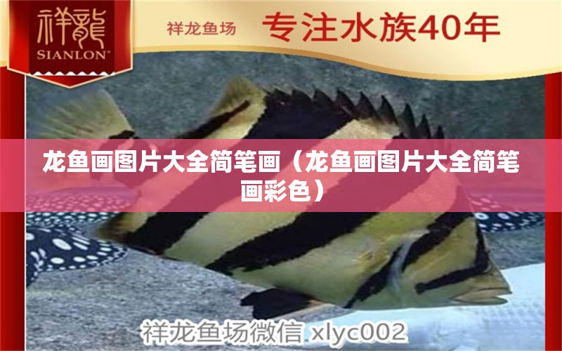 龍魚(yú)畫(huà)圖片大全簡(jiǎn)筆畫(huà)（龍魚(yú)畫(huà)圖片大全簡(jiǎn)筆畫(huà)彩色）