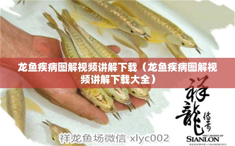 龍魚疾病圖解視頻講解下載（龍魚疾病圖解視頻講解下載大全）