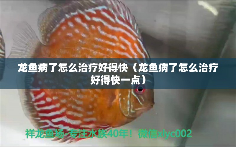 龍魚病了怎么治療好得快（龍魚病了怎么治療好得快一點(diǎn)）