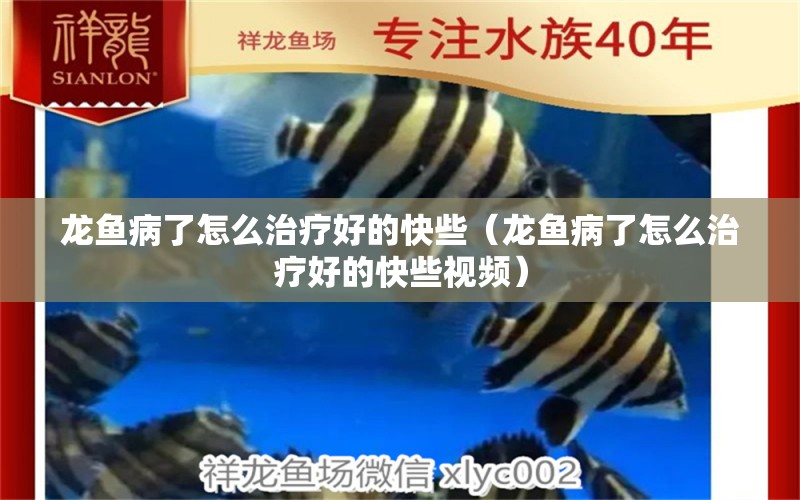 龍魚病了怎么治療好的快些（龍魚病了怎么治療好的快些視頻）