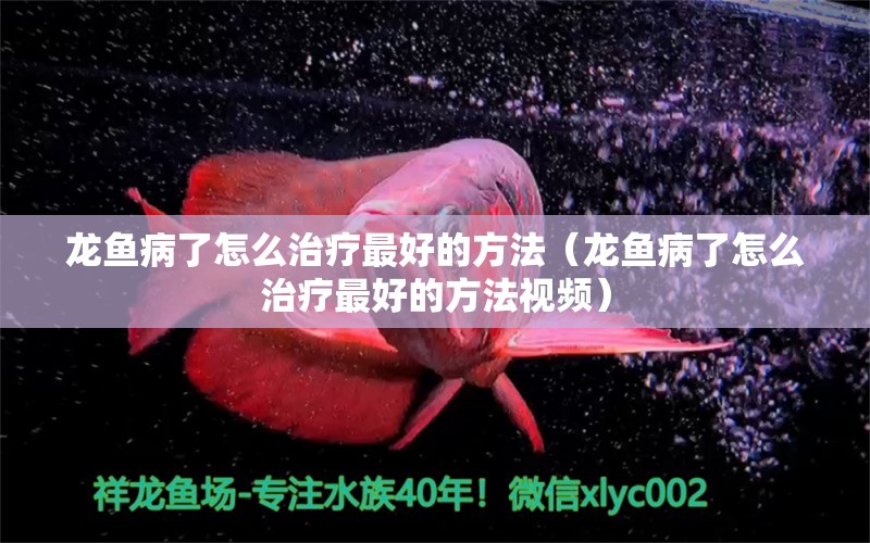 龍魚病了怎么治療最好的方法（龍魚病了怎么治療最好的方法視頻）