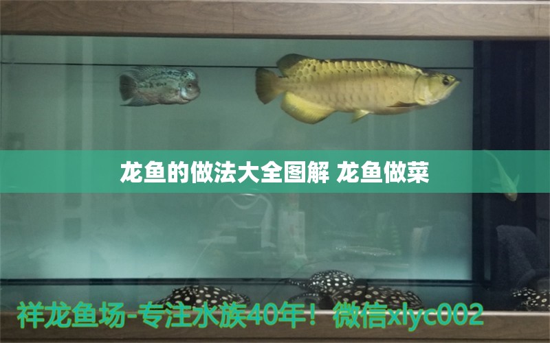 龍魚的做法大全圖解 龍魚做菜 定時器/自控系統(tǒng) 第1張