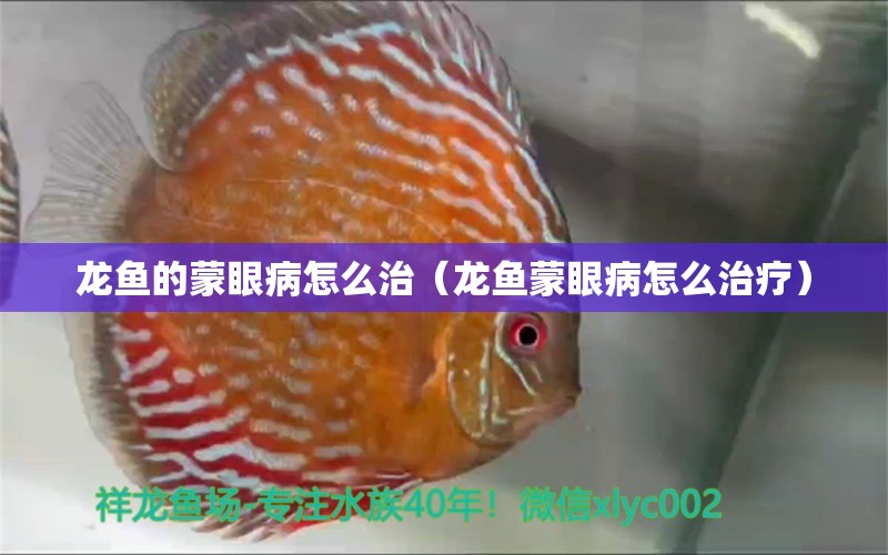 龍魚的蒙眼病怎么治（龍魚蒙眼病怎么治療） 廣州龍魚批發(fā)市場