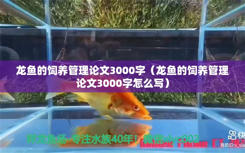 龍魚的飼養(yǎng)管理論文3000字（龍魚的飼養(yǎng)管理論文3000字怎么寫）