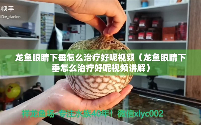 龍魚眼睛下垂怎么治療好呢視頻（龍魚眼睛下垂怎么治療好呢視頻講解） 觀賞魚市場（混養(yǎng)魚）