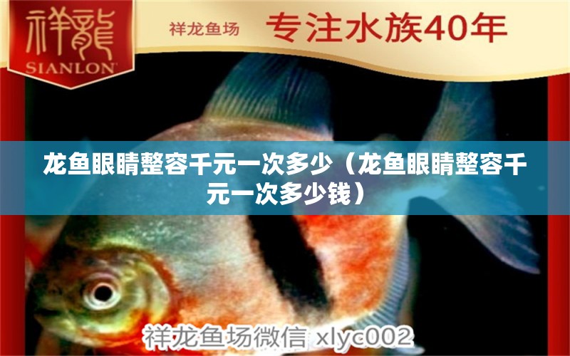 龍魚眼睛整容千元一次多少（龍魚眼睛整容千元一次多少錢）