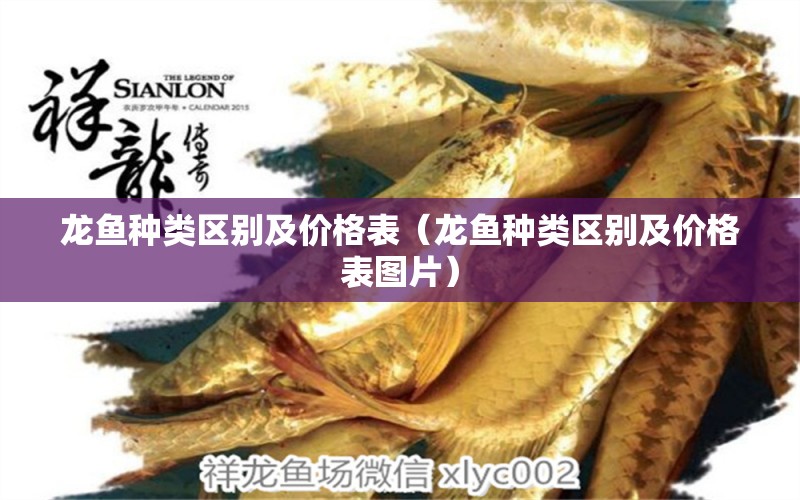 龍魚種類區(qū)別及價(jià)格表（龍魚種類區(qū)別及價(jià)格表圖片）