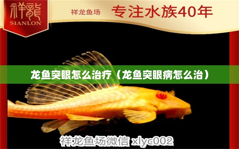 龍魚突眼怎么治療（龍魚突眼病怎么治） 廣州龍魚批發(fā)市場