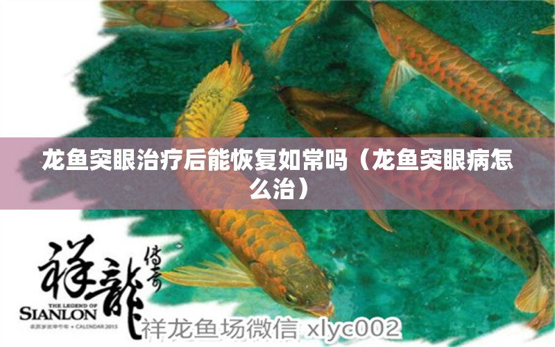 龍魚突眼治療后能恢復(fù)如常嗎（龍魚突眼病怎么治）