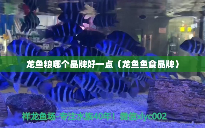 龍魚(yú)糧哪個(gè)品牌好一點(diǎn)（龍魚(yú)魚(yú)食品牌）