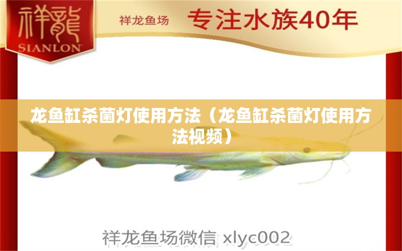 龍魚缸殺菌燈使用方法（龍魚缸殺菌燈使用方法視頻） 廣州龍魚批發(fā)市場