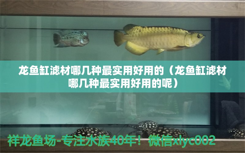 龍魚缸濾材哪幾種最實(shí)用好用的（龍魚缸濾材哪幾種最實(shí)用好用的呢）