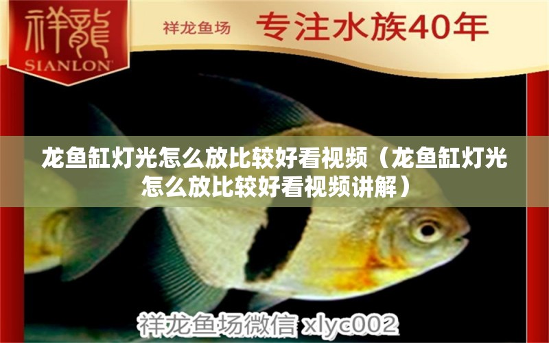 龍魚缸燈光怎么放比較好看視頻（龍魚缸燈光怎么放比較好看視頻講解） 噴點(diǎn)菠蘿魚