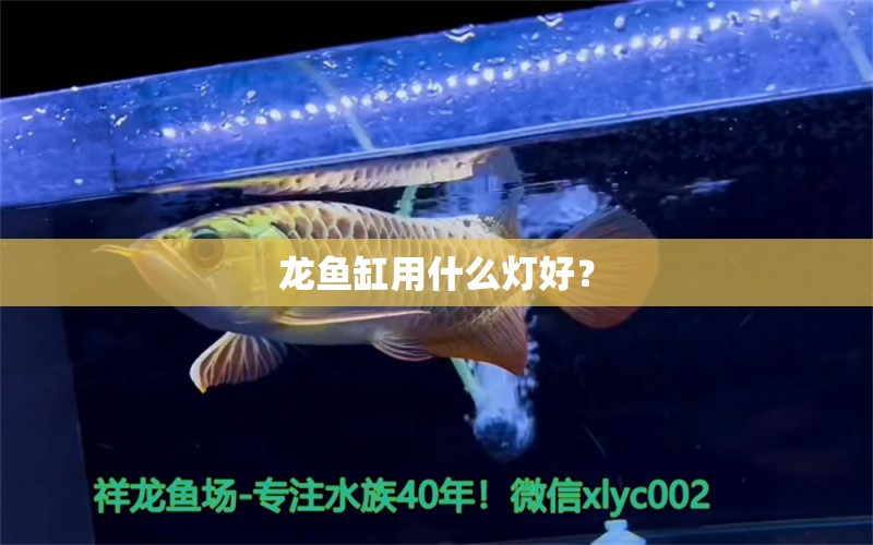 龍魚缸用什么燈好？