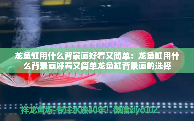 龍魚缸用什么背景畫好看又簡單：龍魚缸用什么背景畫好看又簡單龍魚缸背景畫的選擇 龍魚百科 第2張