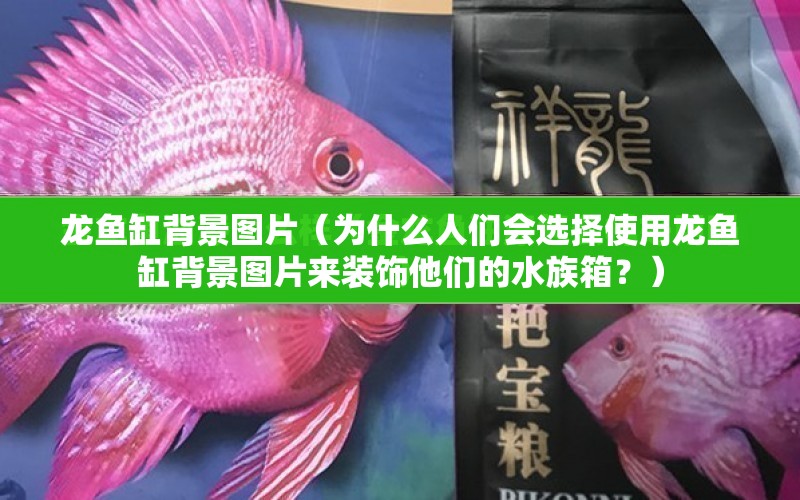 龍魚缸背景圖片（為什么人們會(huì)選擇使用龍魚缸背景圖片來裝飾他們的水族箱？） 水族問答 第1張