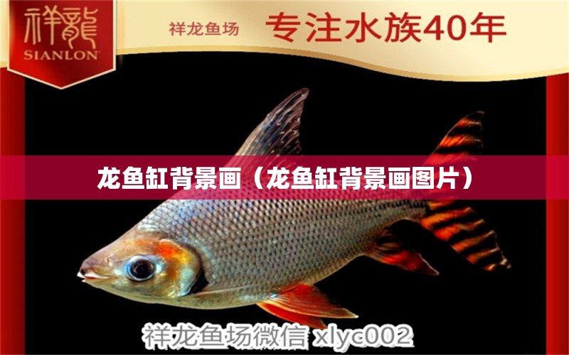 龍魚缸背景畫（龍魚缸背景畫圖片） 廣州龍魚批發(fā)市場(chǎng)