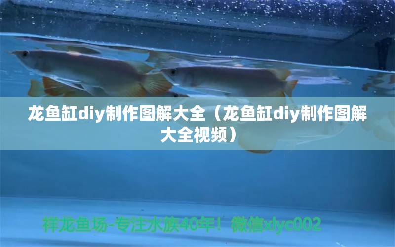 龍魚缸diy制作圖解大全（龍魚缸diy制作圖解大全視頻）