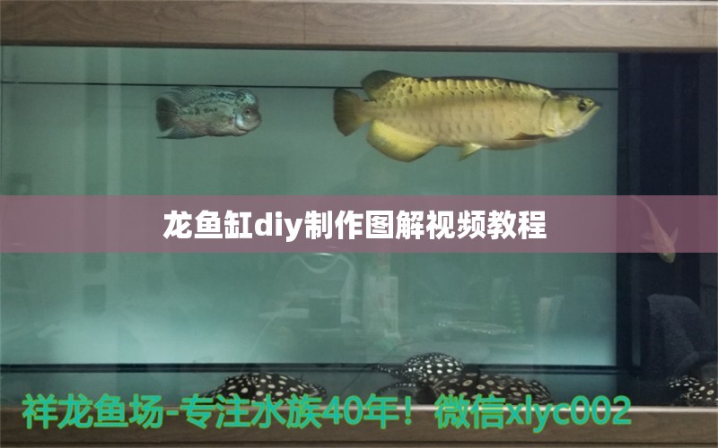 龍魚缸diy制作圖解視頻教程 