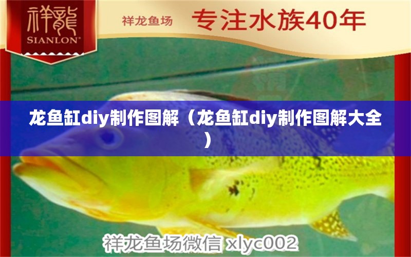 龍魚缸diy制作圖解（龍魚缸diy制作圖解大全）