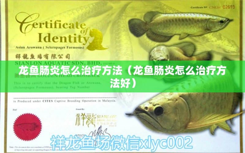 龍魚腸炎怎么治療方法（龍魚腸炎怎么治療方法好）