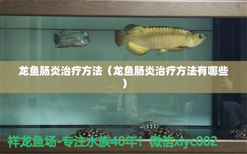 龍魚腸炎治療方法（龍魚腸炎治療方法有哪些）