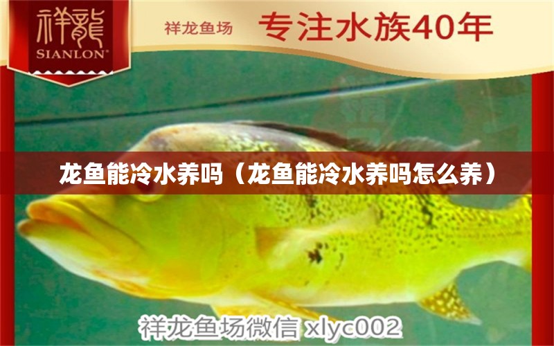 龍魚能冷水養(yǎng)嗎（龍魚能冷水養(yǎng)嗎怎么養(yǎng)）