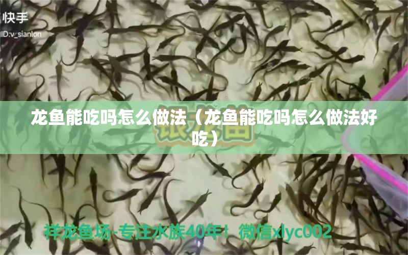 龍魚能吃嗎怎么做法（龍魚能吃嗎怎么做法好吃）