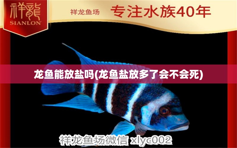 龍魚能放鹽嗎(龍魚鹽放多了會(huì)不會(huì)死)