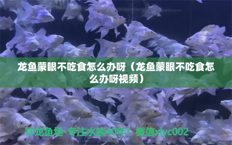 龍魚蒙眼不吃食怎么辦呀（龍魚蒙眼不吃食怎么辦呀視頻）