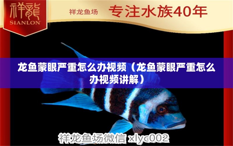 龍魚蒙眼嚴(yán)重怎么辦視頻（龍魚蒙眼嚴(yán)重怎么辦視頻講解）