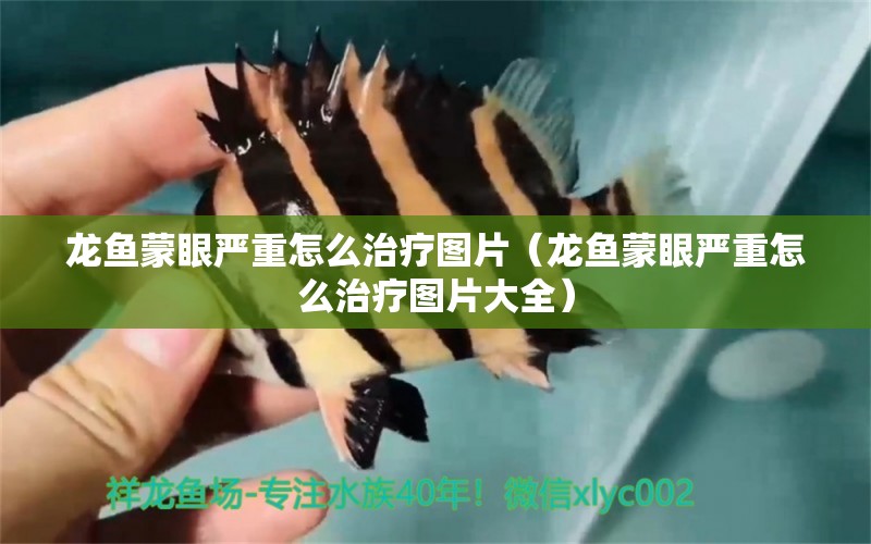 龍魚蒙眼嚴(yán)重怎么治療圖片（龍魚蒙眼嚴(yán)重怎么治療圖片大全）