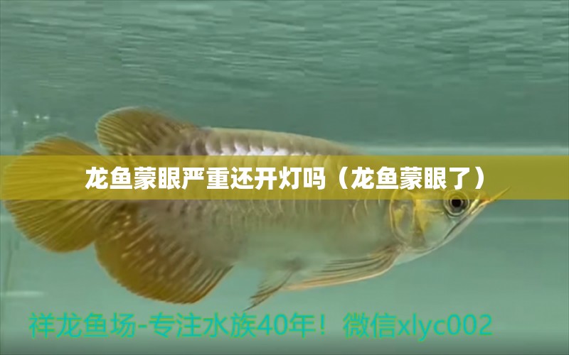 龍魚蒙眼嚴重還開燈嗎（龍魚蒙眼了）