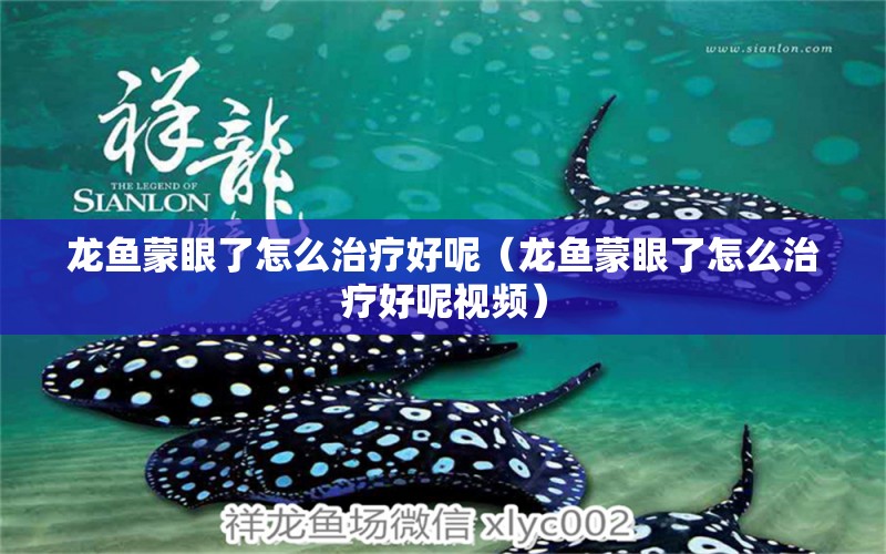 龍魚蒙眼了怎么治療好呢（龍魚蒙眼了怎么治療好呢視頻）